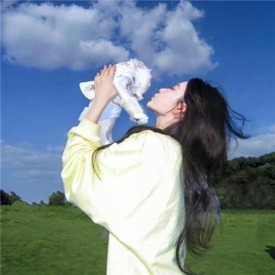 龙的新娘:龙之岛